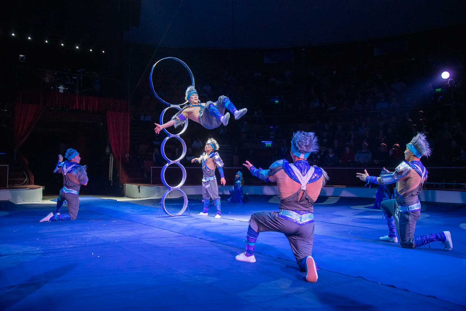 Budapest Circus Festival
